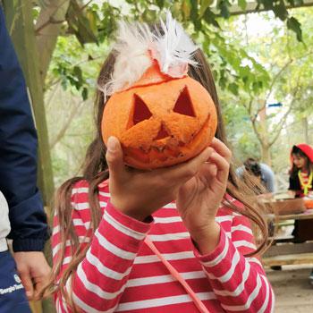 Ateliers Citrouilles